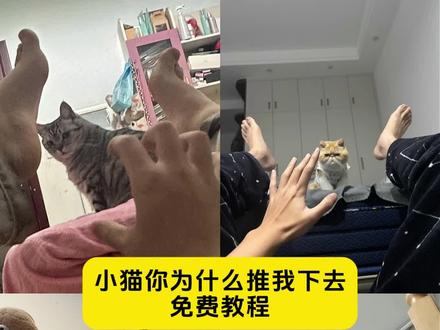 小猫为什么要推我#剪映 #小猫你为什么推我下去 #推我下去 #猫推人后续反应 #为什么要推我