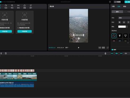 11、(电脑版)剪映,对字幕的变大变小和其他调整