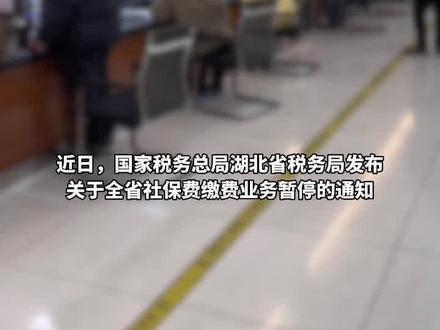 关于全省社保费缴费业务暂停的通知