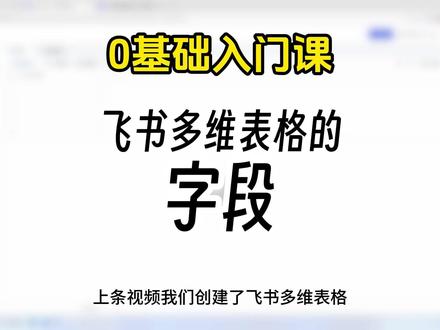 字段怎么使用呀? 飞书多维表格里的字段怎么使用,入门级0基础教程,第二节 #飞书多维表格 #字段 #入门课程 #多维表格 #多维表格制作教程