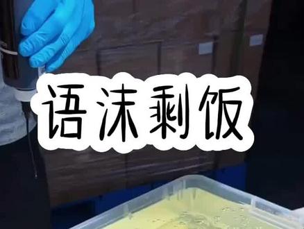 书📚《语沫 剩饭》