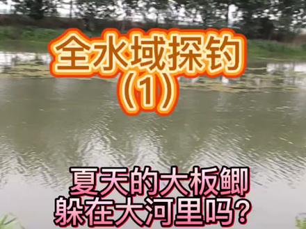 深水浅水全找遍,一起去寻找夏天的大板鲫到底躲在哪 #夏季野钓 #野钓水域 #鲫鱼收获