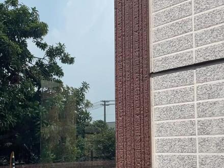 湛江自建别墅新中式外墙纸皮砖设计搭配#装修 #纸皮砖