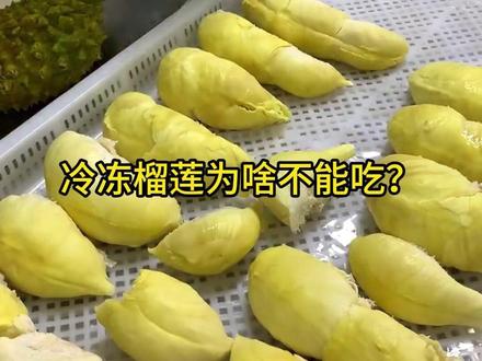 30秒告诉你冷冻榴莲为什么不能买? #榴莲 #榴莲控 #榴莲爱好者 #泰国金枕榴莲
