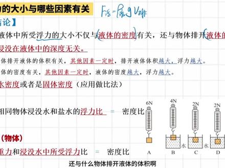 浮力章节实验:高频考点✔押押押#初中物理 #中考物理 #物理题 #物理笔记 #物理实验