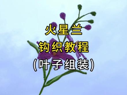 一朵浪漫火星兰,耐寒又耐热 #钩针基础教程 #手工钩织教程 #毛线
