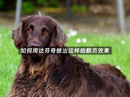 达芬奇一键搞定顺滑翻页转场超简单翻页效果教程 达芬奇一键搞定顺滑翻页转场
超简单翻页效果教程
#达芬奇剪辑教程 #剪辑小技巧 #视频转场#达芬奇