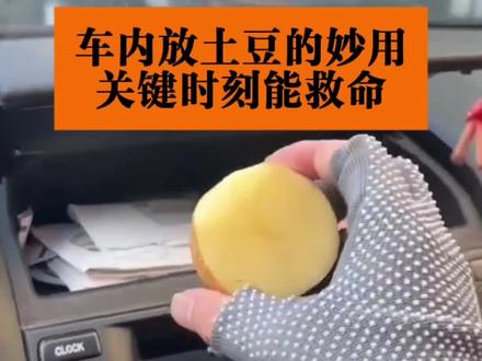 车内放土豆的妙用关键时刻能救命#汽车知识 #行车安全