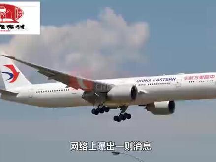 飞行员和乘务长航班上争吵#航空事件 #飞机上的行为 #真实事件 #中国航空 #航空