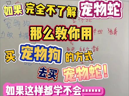 买宠物蛇之前看一眼,不要什么都不了解,品种,花色,性格通通不懂,光让别人给你推荐,别人推荐1万遍,不如自己懂一点,没你想的那么难,就和买宠物狗差不多,看完才能更好了解自己的需求#宠物蛇 #宠物蛇推荐 #宠物蛇的日常 #新手必看养宠 #异宠