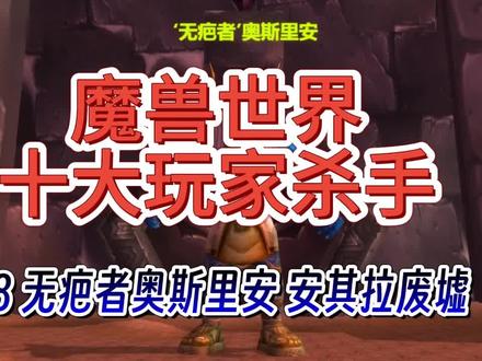 魔兽世界十大玩家杀手8