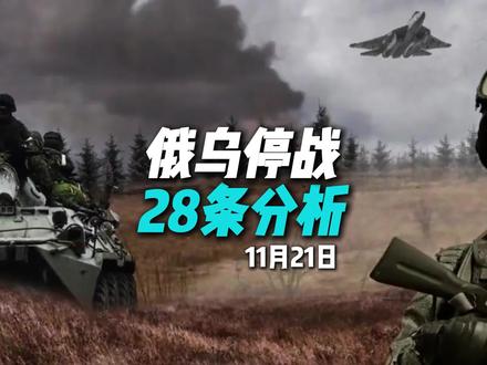 俄乌停战28条分析#俄乌冲突#国际局势#乌克兰#美国
