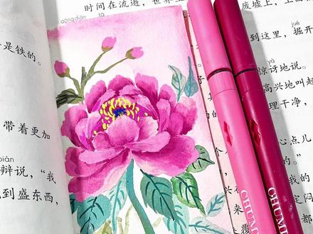 丙烯马克笔画国画牡丹邪修教程 超详细丙烯马克笔画牡丹花国画邪修教程!#零基础学画画 #绘画教程 #国画 #丙烯马克笔绘画 #初描丙烯马克笔