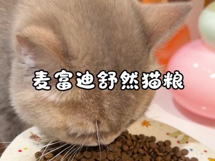 我当时看见价格都懵了,还以为标错了,这之后谁还忍心给小猫吃那些杂牌啊 #猫粮分享 #猫粮 #麦富迪舒然猫粮 #麦富迪 #养猫人