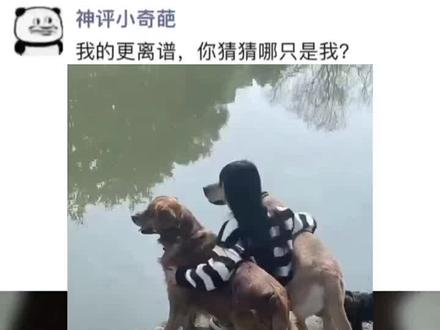 男生拍照有自己独特的审美 #艾特你想艾特的人 #神评论 #笑哈哈