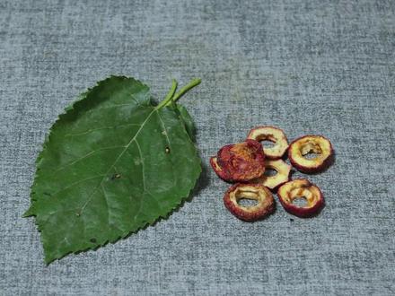 桑叶加山楂是绝配,村里老一辈人做法,解决很多人问题,省钱实用