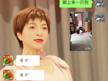 这是谁家的狗啊? #温州阿唐 #温州 #这黑色拉布拉多到底谁的