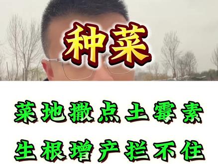 #种菜#种菜小技巧 #种菜种菜 #种菜要有种菜的样子 #菜园 菜地撒点土霉素,爆根丰产拦不住