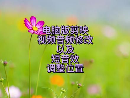 电脑版剪映视频音频修改以及短音效位置调整方法#剪映#声音处理
