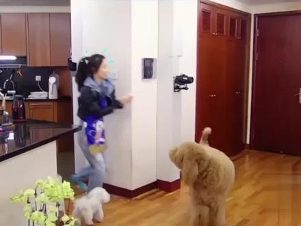 小嗯哼,这个娃跟嗯哼长的一样啊