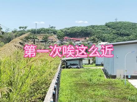 到了边界上一个人还有点怕 就怕人家把我抓过去坐压寨夫人😄#中缅边境 #卡车小啊妹