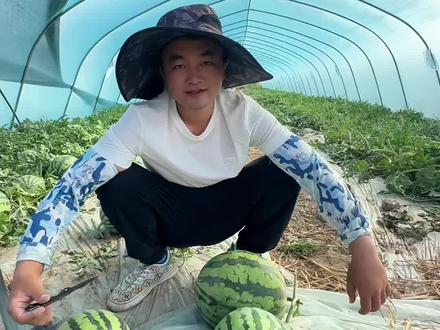 哪里可以学验瓜,我想付费深造一下。