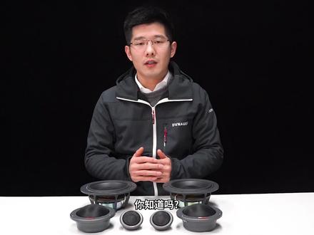 它是众多发烧友的选择 少数的红标丹拿-Esotec S342#丹拿
