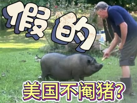 别再被骗了,美国不阉猪杀猪不放血是假的。