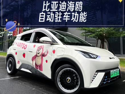 比亚迪海鸥自动驻车功能你会用了吗?开启以后等红绿灯方便多了,不会再那么费脚了。#比亚迪海鸥 #我的crush #我与汽车的日常 #每天一个用车知识