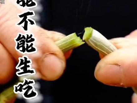 中华九大仙草,铁皮石斛