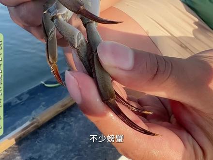 为什么会出现硫化氢超标现象?又有哪些危害呢?今天生泰尔老季来到下玗塘口,得到了解决思路,结尾会附上治疗方案给需要的朋友。#硫化氢超标 #河蟹养殖 #水产养殖技术 #抖音助农