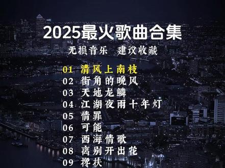 2025最火歌曲合集 #热点 #抖音合集音乐 #音乐治愈 #音乐会