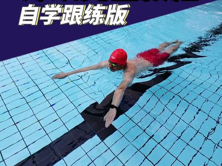 零基础自学蛙泳的详细跟练教程完整版 14个练习步骤按顺序和要点练就行了。#游泳 #蛙泳 #蛙泳教学 #零基础学游泳 #学游泳