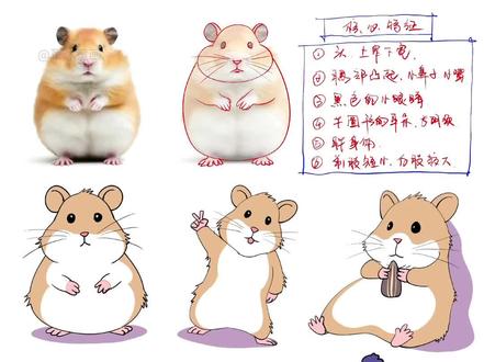 抓特征,画小仓鼠,真的很简单!
#简笔画 #画画 #儿童画 #零基础学画画 #画画教程