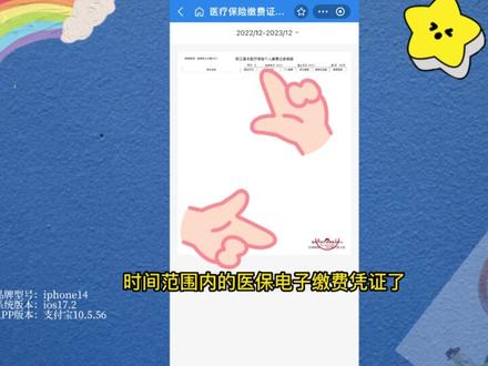 医保电子缴费凭证怎么查询