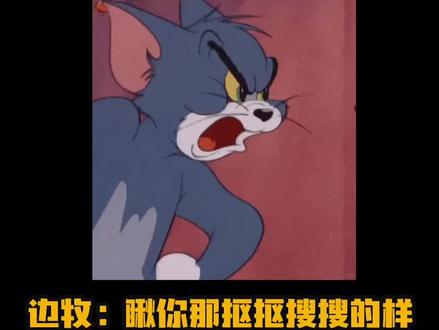 好停车吗,周末带孩子去#诸葛不拆#搞笑#边牧