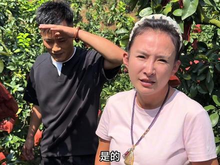 姐妹们,好饭不怕晚,我终于等到我想要的口感了#记录真实生活 #新鲜应季水果 #快来一起尝个鲜