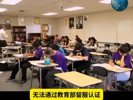 悠悠青草地,头顶一片绿