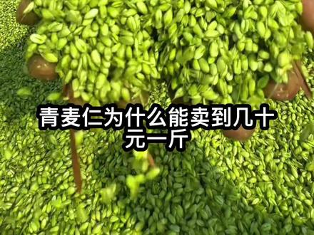 青麦是时令鲜货,老麦是日常主食 青麦仁口感软糯、清香,吃着鲜,适合尝鲜、做零食、煮粥。
#青麦仁 #青麦仁怎么做好吃 #植物科普 #健康饮食 #新农人计划