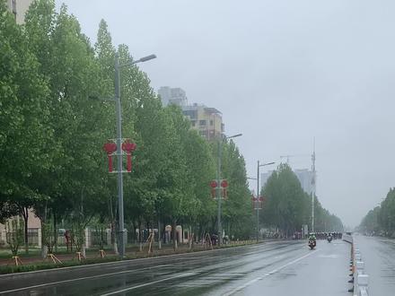 刹车片摩擦的声音……均速45-50跟不上,蹭不上风,就被套圈了😂#自行车比赛 #济源轮竞单车工作室