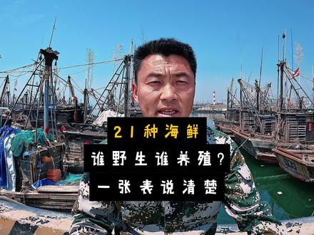 21种海鲜谁野生谁养殖?《大表哥一张表说清楚》 21种海鲜谁野生谁养殖?大表哥一张表说清楚《别再花冤枉钱》#海鲜科普 #海鲜美食 #食品安全 #这也能开播