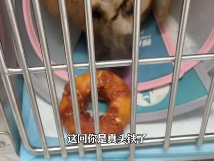 牛不牛 #骨溶解#换头