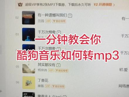 酷狗KGM格式怎么转换mp3,教程分享
#酷狗 #软件开发 #电脑知识 #kgm转换mp3 #kgm