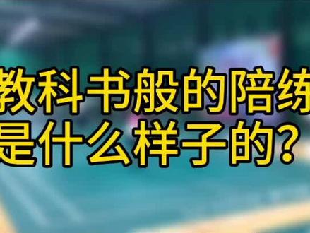 教科书级别的羽毛球陪练,应该是什么样的?#杨晨大神 #羽毛球教学