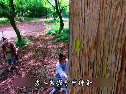 妖界四公子纷纷看上九妹,狐大王召开比武招亲挑选女婿! #电视剧解说 #天天有喜 #古装神话剧