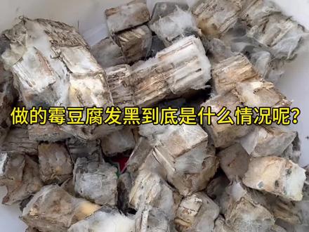 新手做霉豆腐,出现发黑问题,村里老人都说是正常现象,你做的霉豆腐是什么样的呢? #农村生活 #自己种菜 #霉豆腐