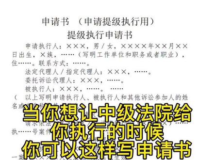 本样式根据《中华人民共和国民事诉讼法》第二百二十六条规定制定,供申请执行人向人民
法院申请提级时用#法律文书模版