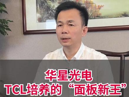TCL培养的“面板新王”-华星光电!#制造业 #企业 #TCL #华星光电 #粤港澳大湾区