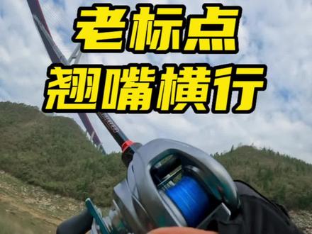 翘嘴口还是不错的!
#原来钓鱼才是抖音运动顶流 #遵义路亚