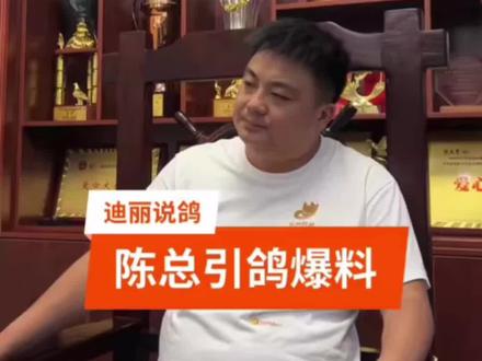 走进华风鸽舍,听听陈总引鸽爆料(一)#信鸽赛鸽 #养鸽人 #赛鸽 @华风鸽舍陈亚军 @华风鸽舍陈亚军